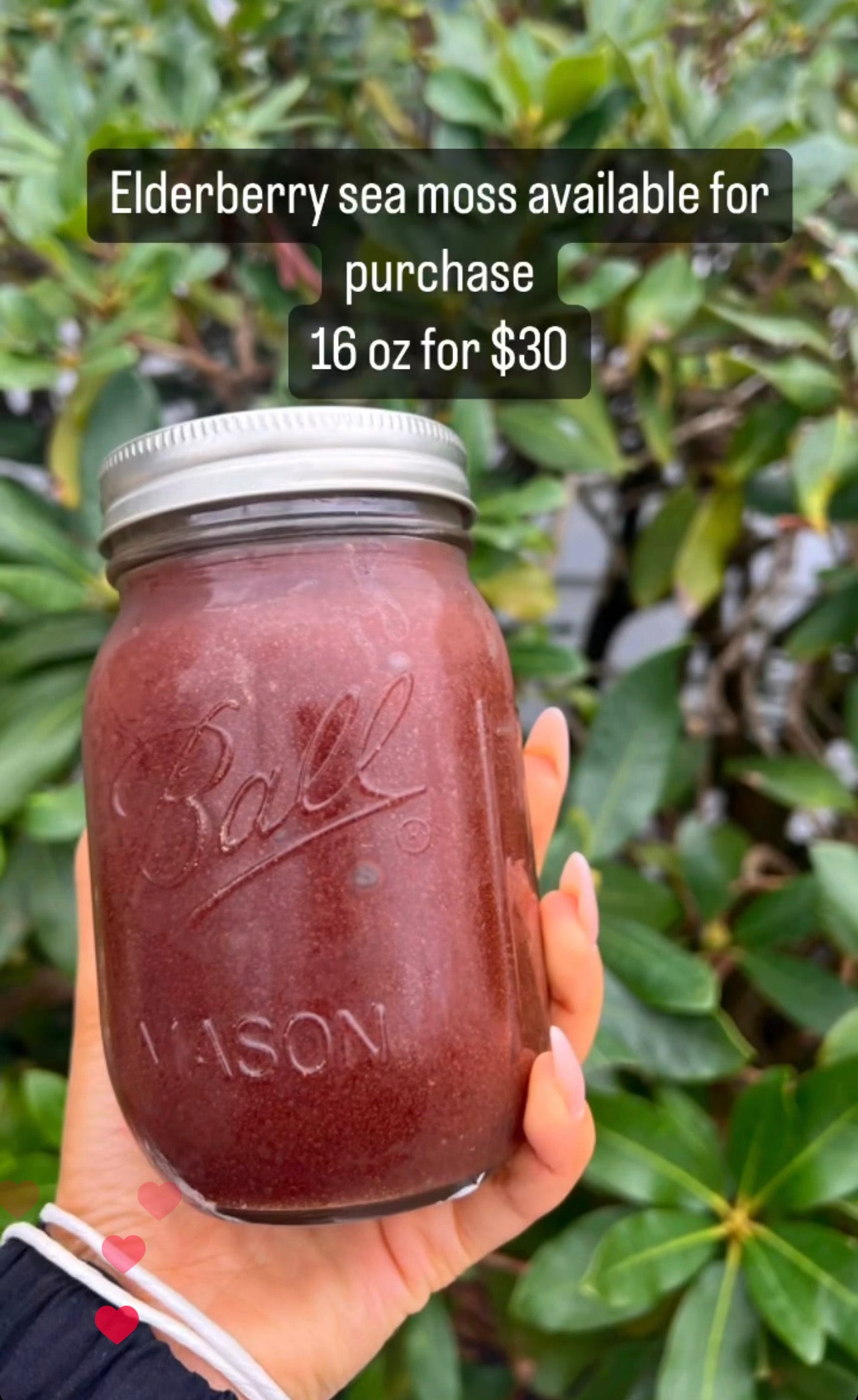 Organic Elderberry Sea moss Gel