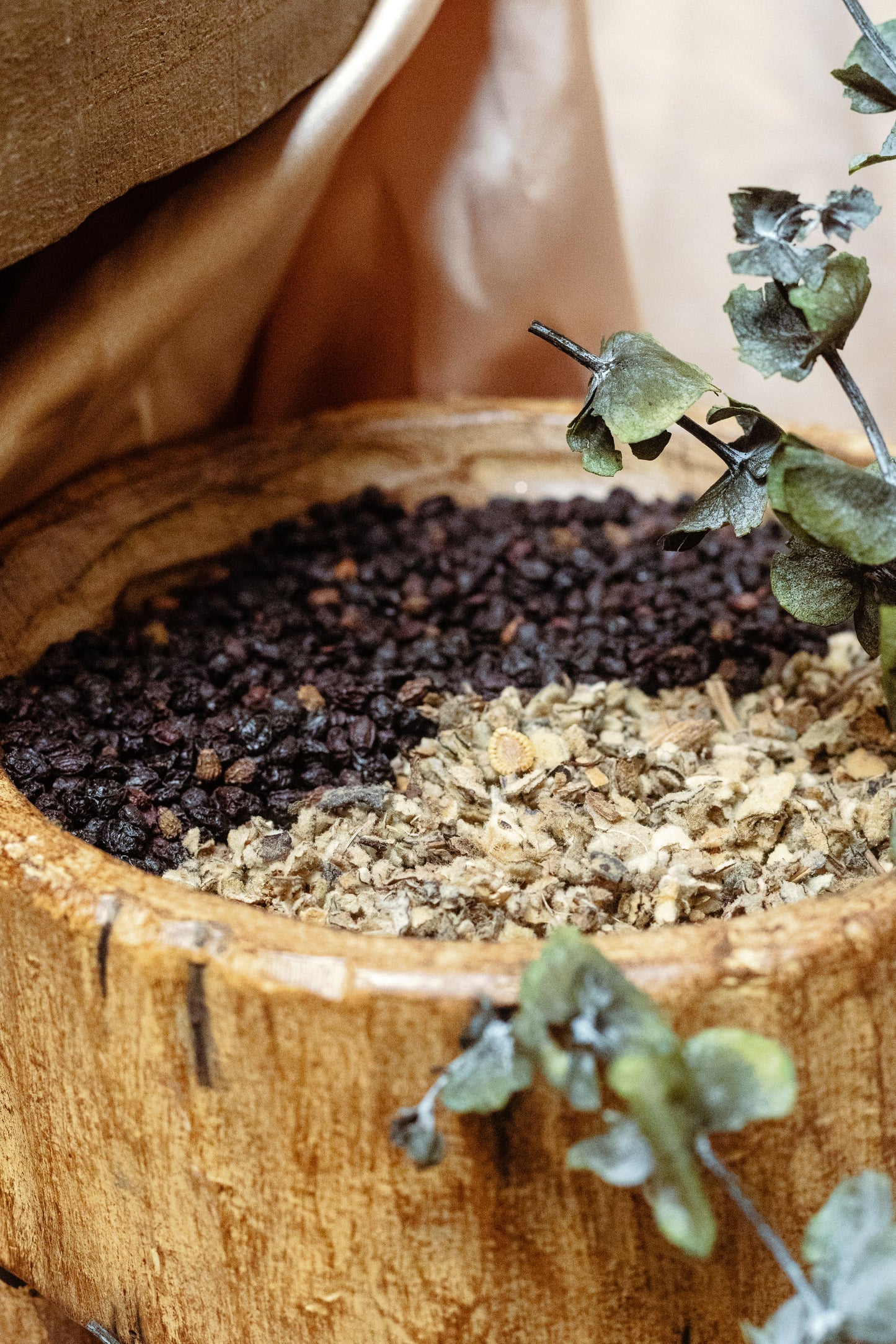 Organic Elderberry Elixir infused with mullein